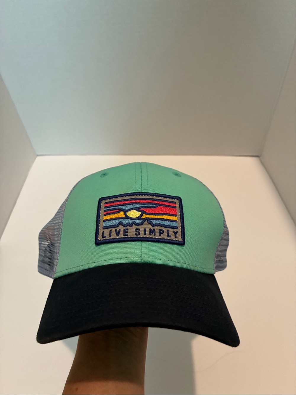 Patagonia Mint Green and Black Live Simply Trucker Hat